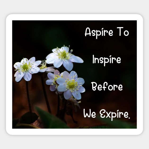 Aspire To Inspire Before We Expire. Wall Art Poster Mug Pin Phone Case Case Mask Sticker Magnet Tapestries Flower Art Motivational Quote Home Decor Totes Sticker by Narnic Dreams